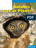 Do Animals Live in Plants