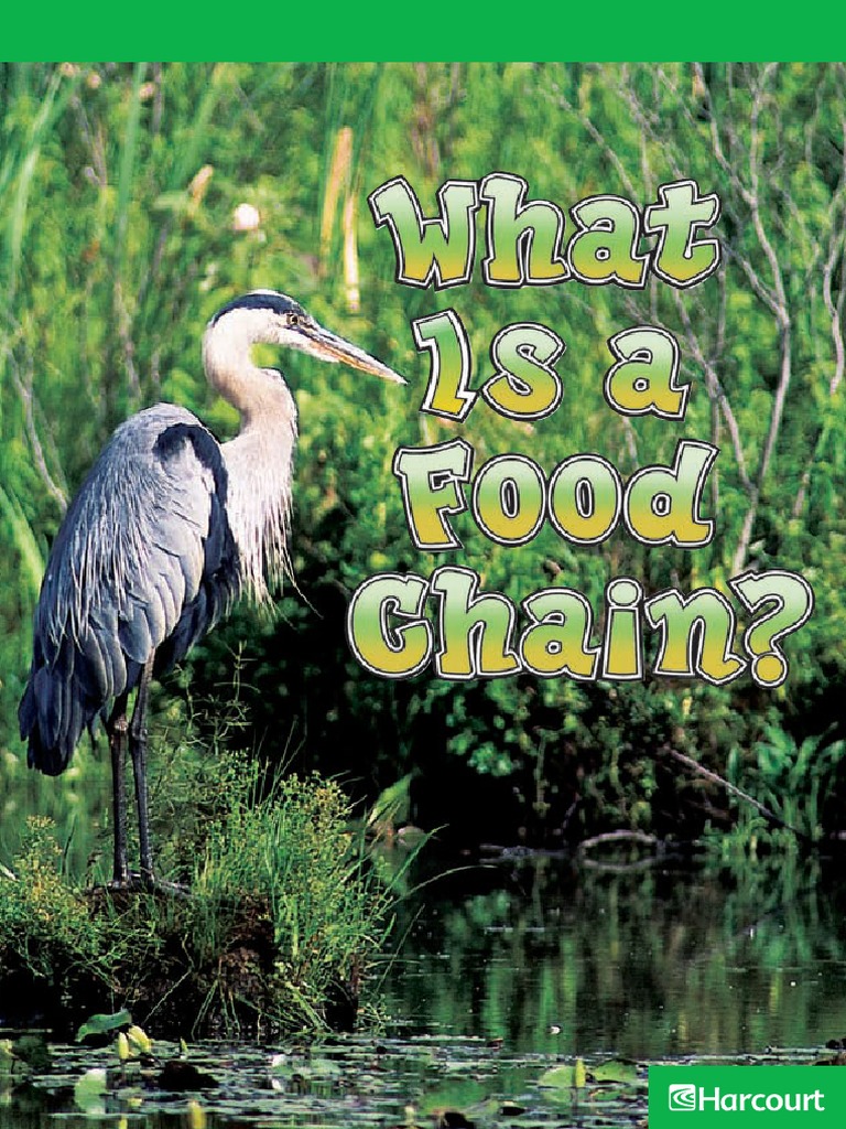 What Is A Food Chain Biology Diagrams