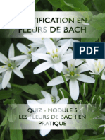 Module 5 Quiz Conseiller en Fleurs de Bach