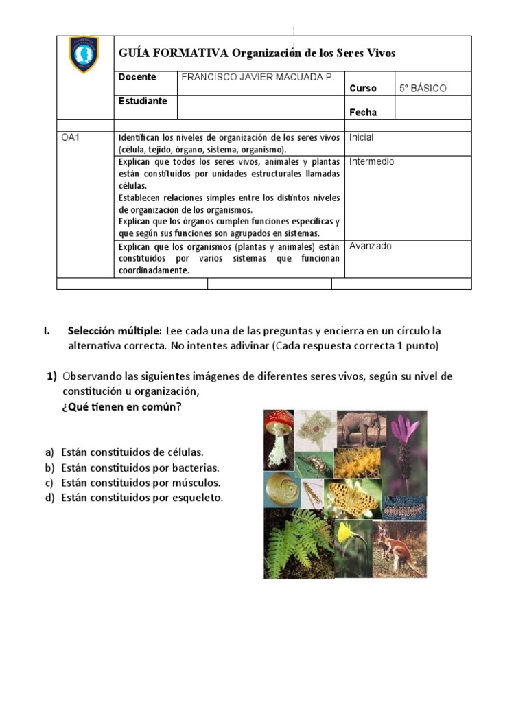 Organización de los Seres Vivos en 5° Básico | PDF | Organismos ...