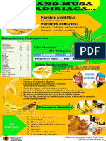 Banano-Musa paradisiaca: Composición, usos y beneficios