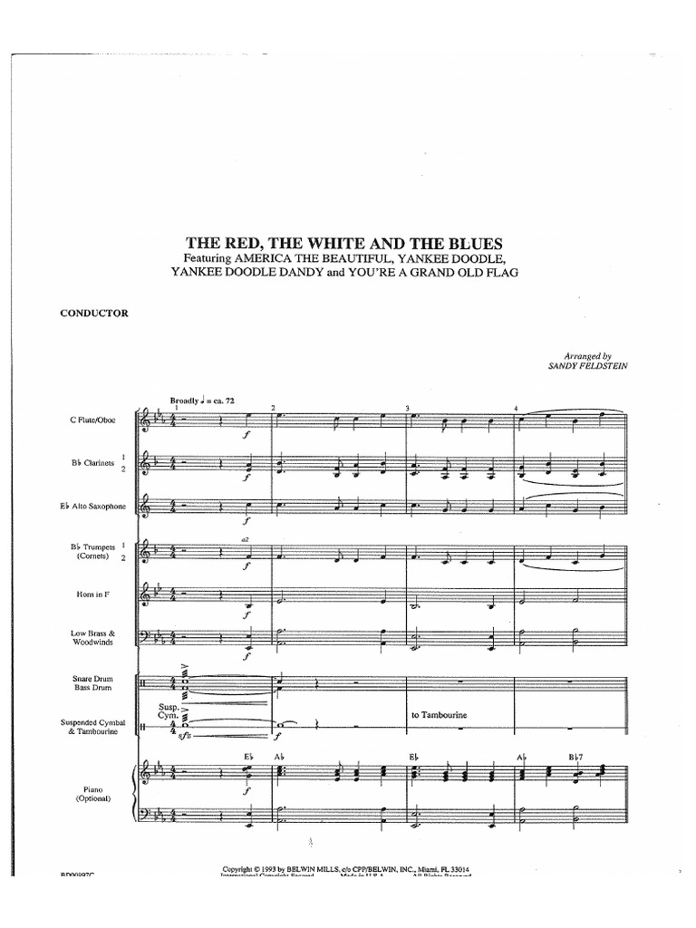 Armonica Red, White And The Blues - Strumento Musicale Portatile - Foto 7