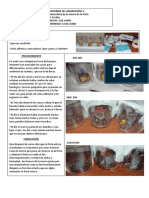 CCNN Experimento