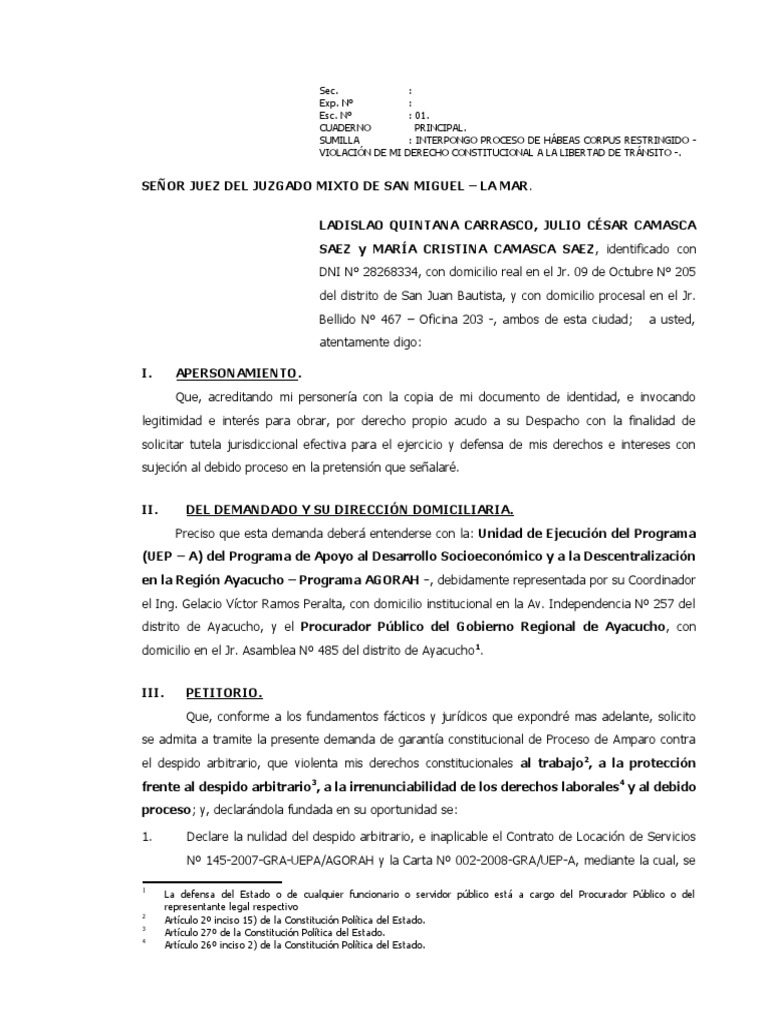 Proceso de Hábeas Corpus y Amparo Laboral | PDF | Debido al proceso ...