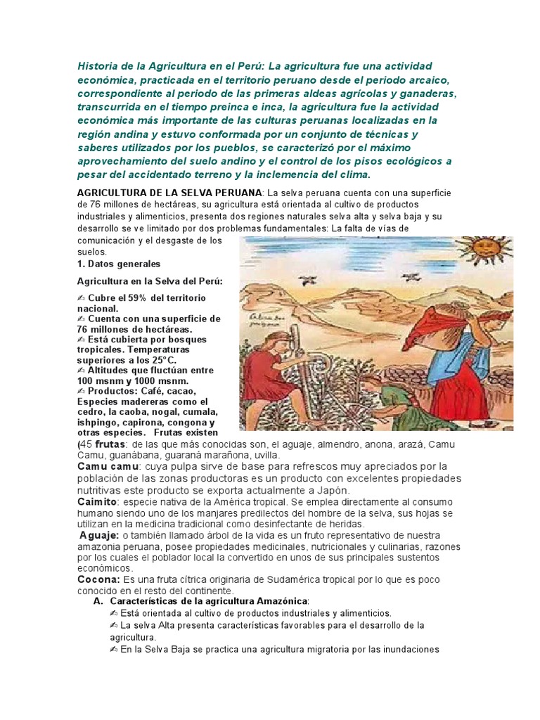 Historia De La Agricultura En El Perú Pdf Selva Amazónica Perú
