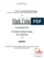 Mark Fisher Ic Training Certificate 2022-2023