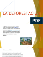 Presentacion de La Deforestacion