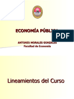 Lineamientos Del CursoS