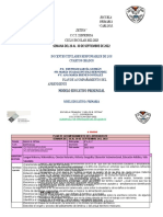 Plan de acompañamiento 4° grado