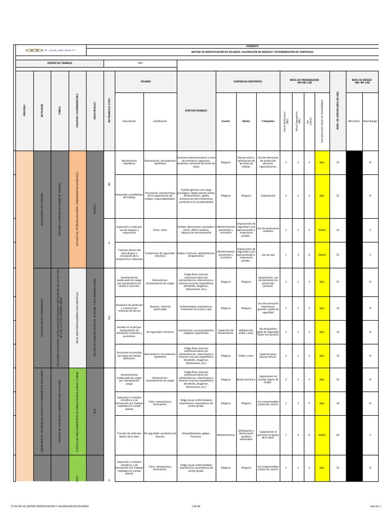 Stps 031 Matriz Peligros 2022pmi | PDF | Estrés (biología ...