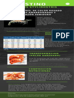 Rosa y Turquesa Futurista Tecnología Investigación Resultados Informe Infografía (2)