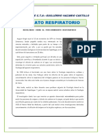 PRACTICA ANATOMÍA El-Aparato-Respiratorio-para-Tercero-de-Secundaria