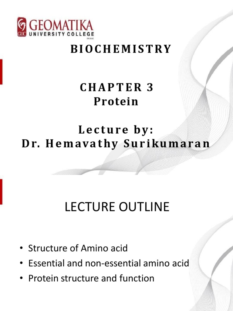 Chapter 3 Protein Pdf Proteins Amino Acid