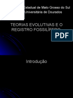 04 - Teorias Evolutivas 2020