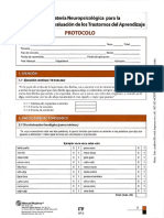 PROTOCOLO BANETA - PDF A Color