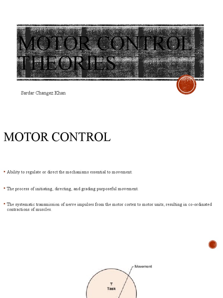 Motor Control Theories PDF Motor Control Perception