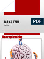 32 (Neuroplasticity)