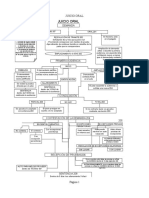 Esquema Juicio Oral