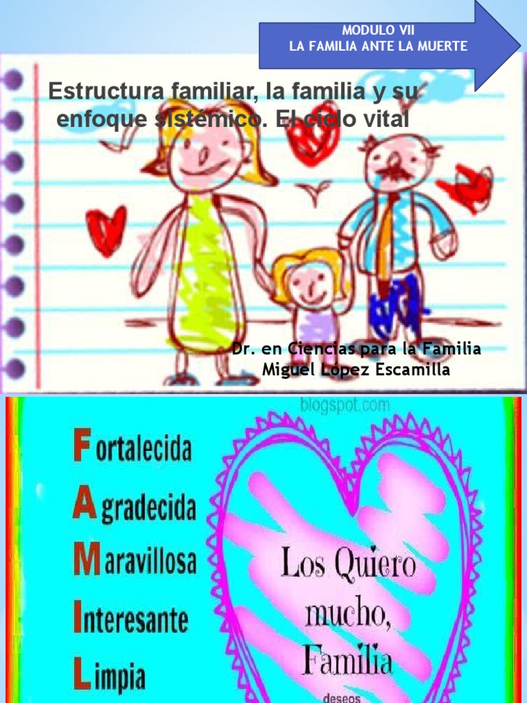 Enfoque Sistémico de la Familia | PDF | Familia | Comportamiento