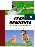 Perro Obediente