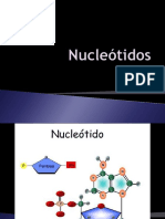 Nucleótidos2 2print