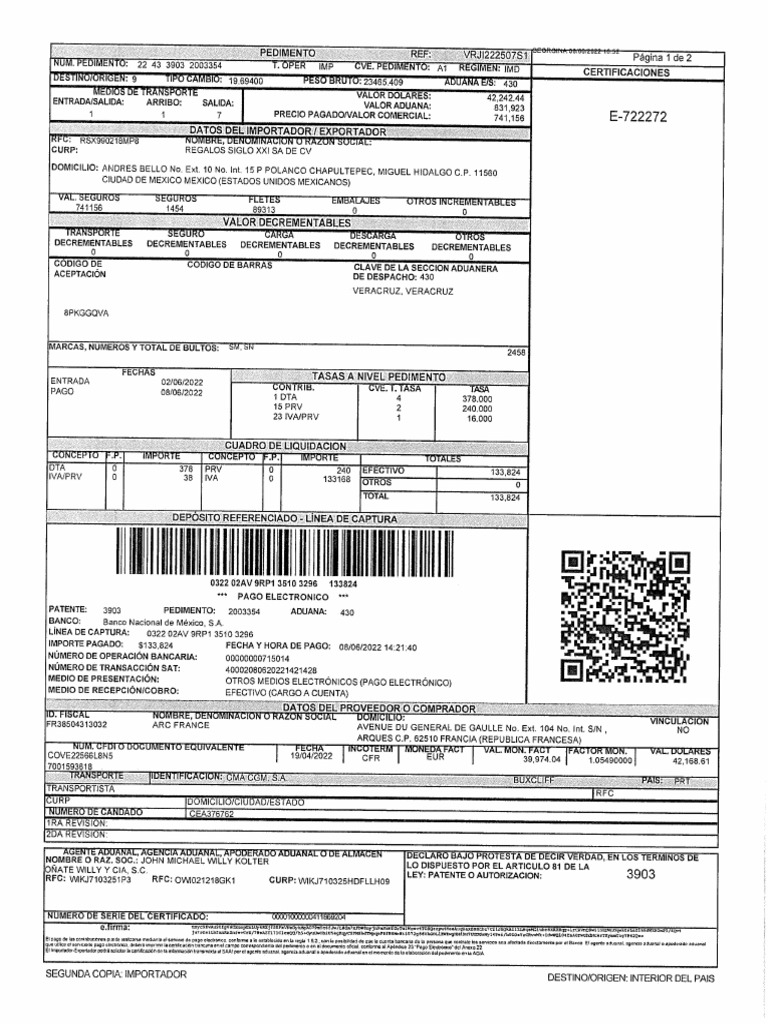 Ejemplo de Pedimentos PDF