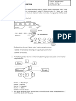 Biologi_LKPD 9