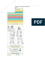 Sari La Navigaresari La Căutare: Specie Din Familia Hominidae, Unicul Reprezentant Contemporan Al Genului Homo