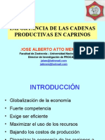 Cadenas Productivas en Caprinos