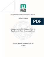 Ahmed H. Ali 2020 Management of Multiphase Flow in Pipelines - A Flow Assurance Study