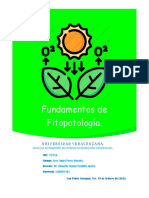 Act01 Fitopatología PérezMorales