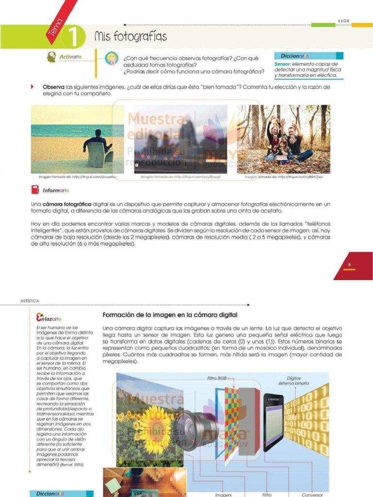 Eca Sexto Grado | PDF
