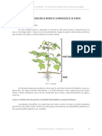 Unidad 1 - Introducción Al Mundo de La Morfología de Las Plantas