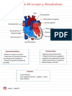 Fisiología Cardiovascular 