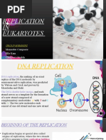 Dna Replication in Eukaryotes