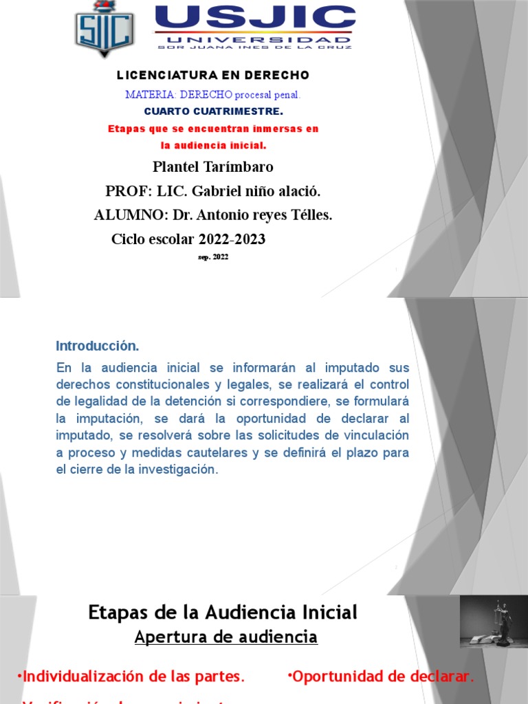 Etapas de la Audiencia Inicial Penal | PDF | Mandato | Procedimiento ...