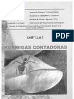 Hormigas Cortadoras