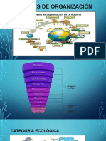 Niveles de Organización de Los Seres Vivos