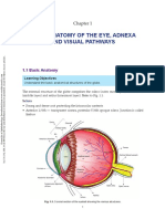 Basic Anatomy of The Eye, Adnexa