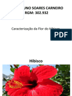 Trabalho Flor de Hibisco