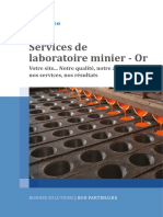 Mine Site Laboratory Services Gold FR