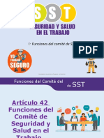 Funciones Del CSST - Resumen