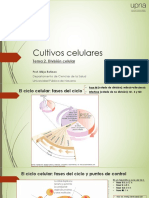 CC Modulo1 Tema2