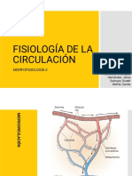 Fisiología de La Circulación