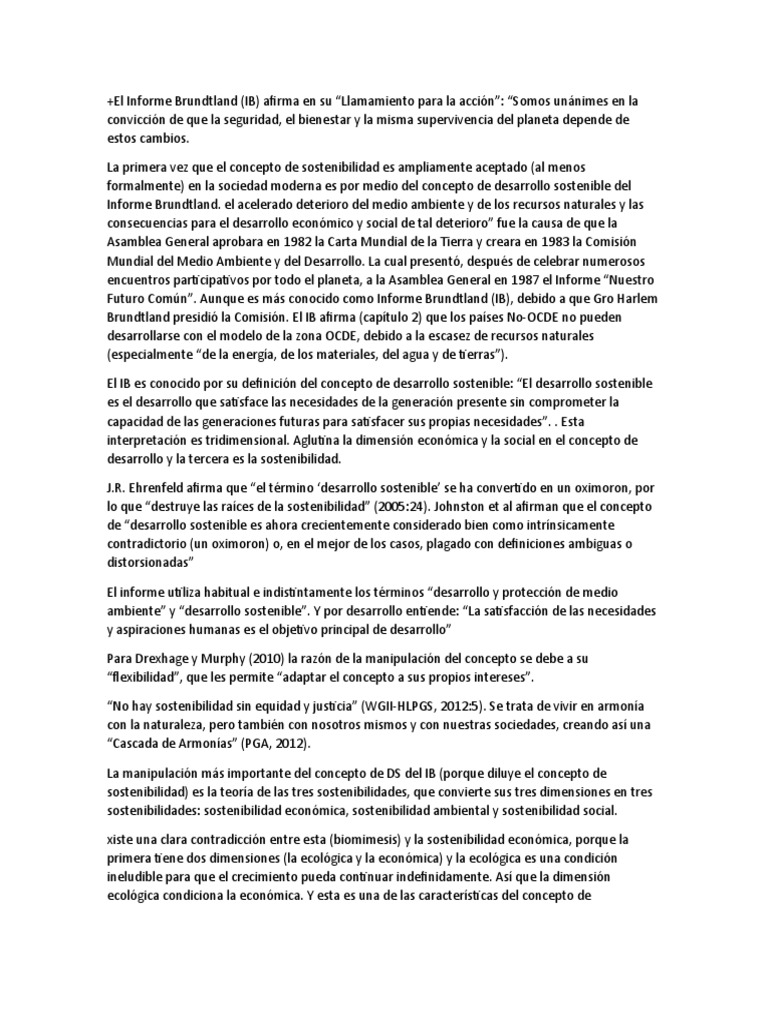 El Informe Brundtland | PDF | Desarrollo sostenible | Sustentabilidad