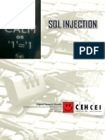 SQL Injection CM