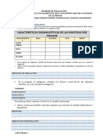 Indagamos - Almidón Informe