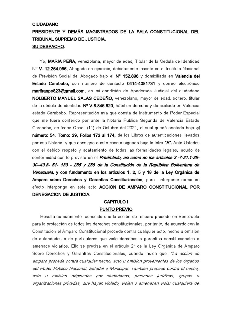 Amparo Por Denegacion de Justicia | PDF | Derecho Constitucional | Ley ...