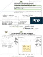 Proyecto 3 - Semana 10 - Planificacion Microcurricular