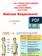 Sistema Respiratorio: Anatomía Y Fisiología Humana (Cód. 2070) Fisiología Animal (Cód. 2109)